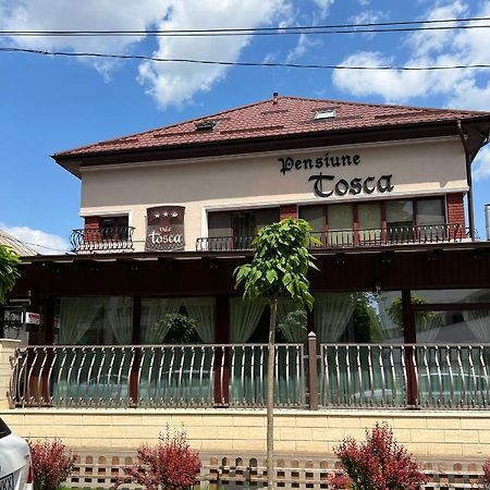 Pensiune Turistica Tosca Bacău エクステリア 写真